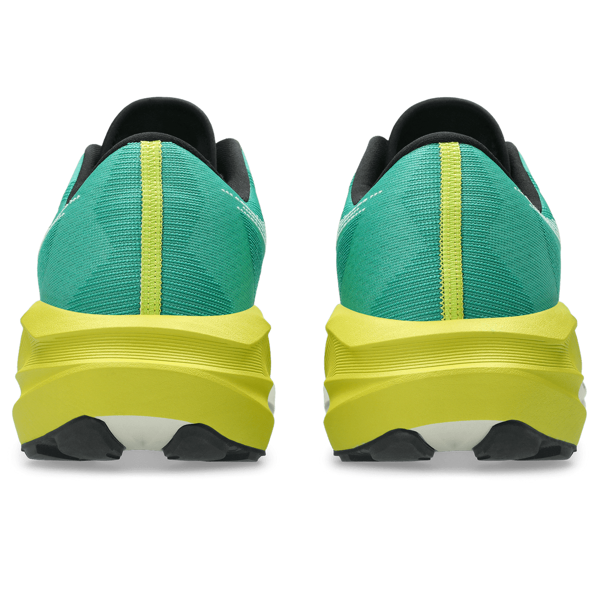 ASICS Novablast 5 TR – Nature Bathing Mens - Run Trails