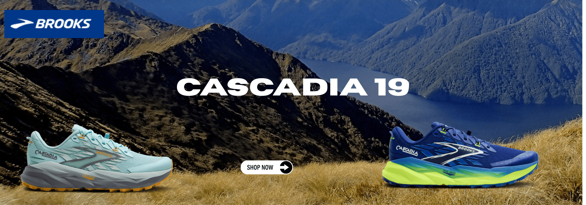 Two running shoes with 'Brooks Cascadia 19' text against a mountainous landscape.