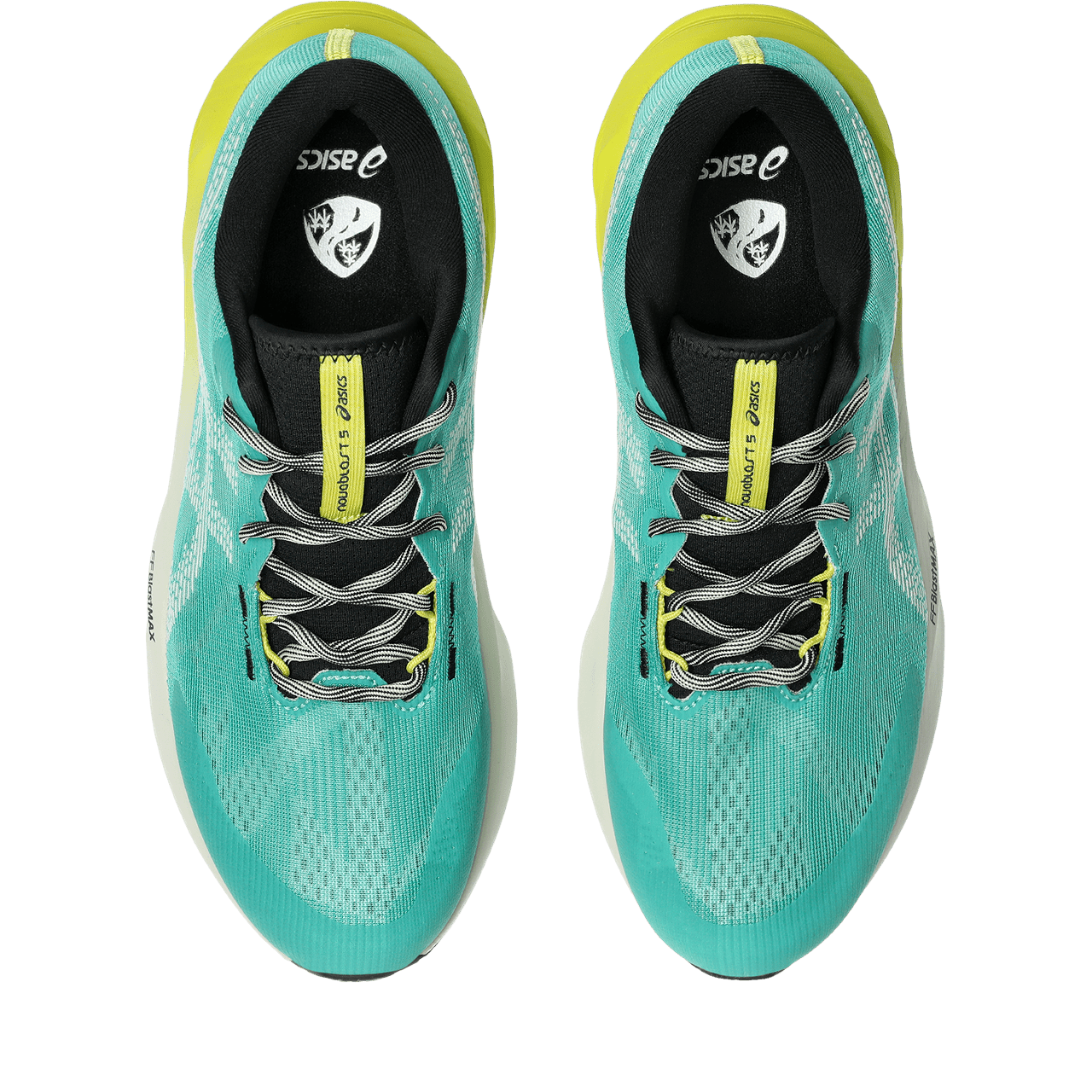 ASICS Novablast 5 TR – Nature Bathing Mens - Run Trails