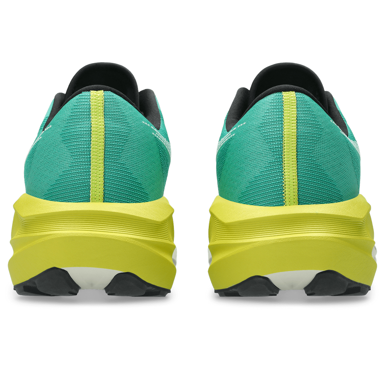 ASICS Novablast 5 TR – Nature Bathing Mens - Run Trails